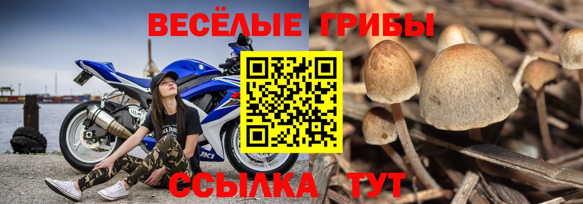 Фролово  даркнет сайт  Вход с VPN  Галлюциногенные грибы ЛСД 