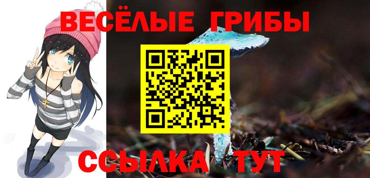 Галлюциногенные грибы Psilocybine cubensis Фролово